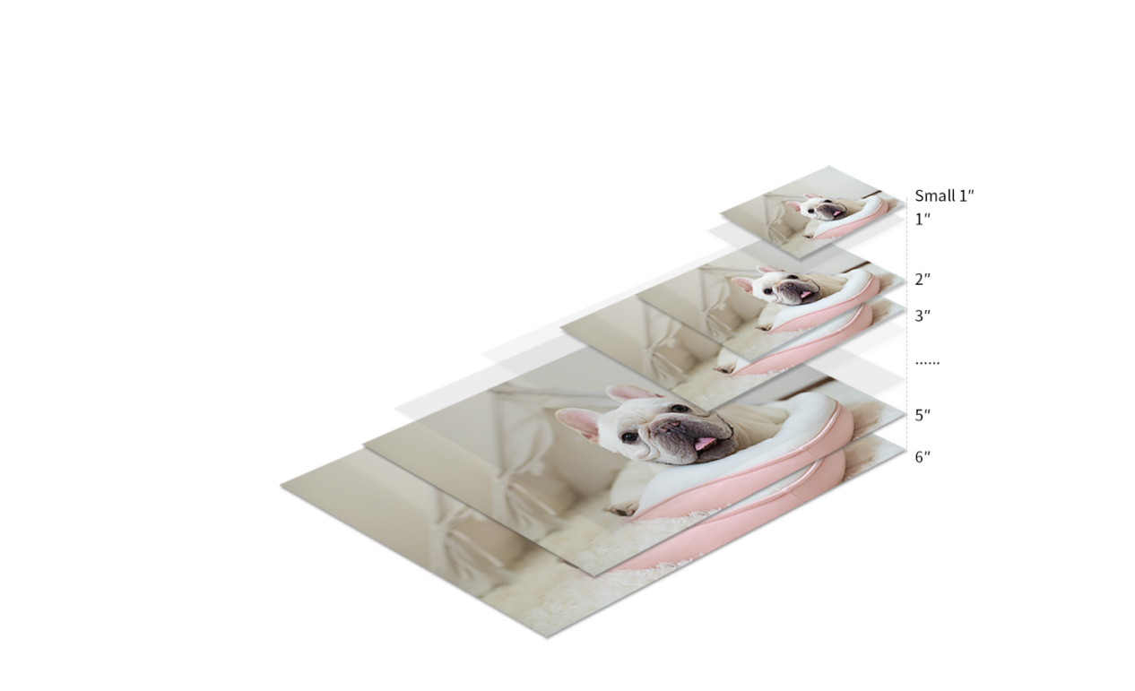 Collection of printed 4x6 photos on a table